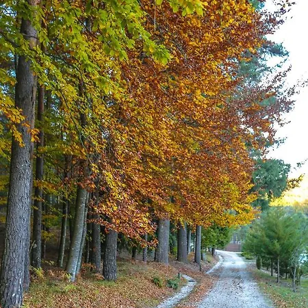 Alojamento de Turismo Selvagem Parque Boticas