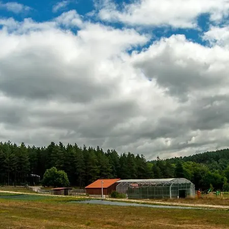 Domek letniskowy Parque *
