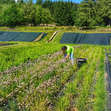 Parque Lodge Boticas