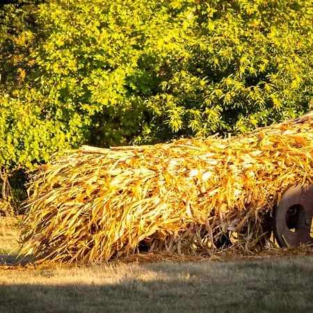 Alojamento de Turismo Selvagem Parque