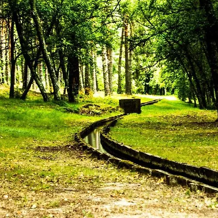 Alojamento de Turismo Selvagem Parque