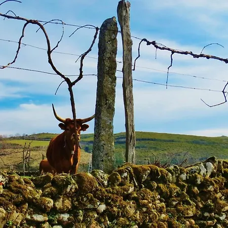 Parque Alojamento de Turismo Selvagem Boticas
