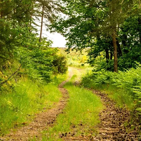 Alojamento de Turismo Selvagem Parque *