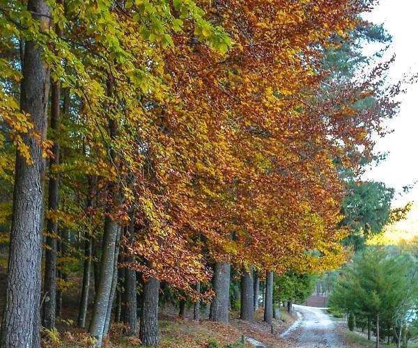 Hytte Parque Boticas