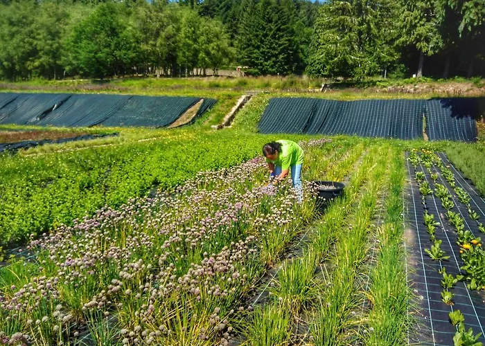 Parque Hytte Boticas