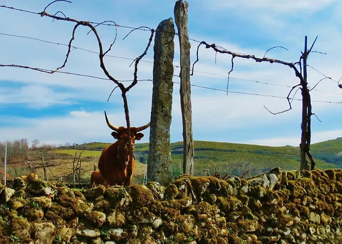 Parque Hytte Boticas